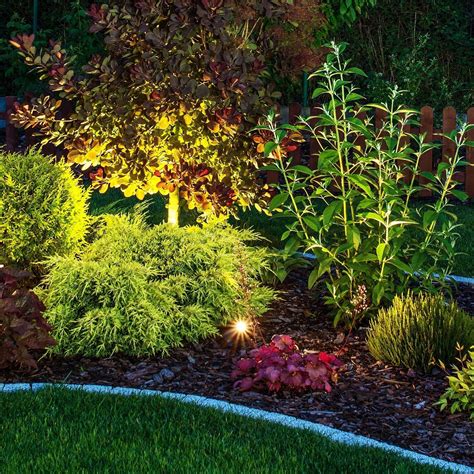30 Garden Lighting Ideas to Make Your Plants Shine.